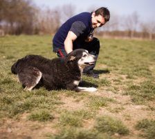 Maki – Husky Mischling, Männchen, 5 Jahre 8 Monate, Nordic Strays e.V. – Foto 6