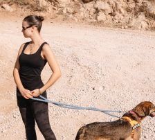 Hanka – Schäferhund Mischling, Weibchen, 3 Jahre, Nordic Strays e.V. – Foto 4