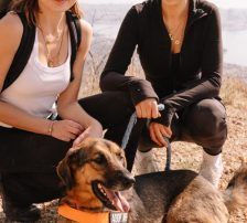 Hanka – Schäferhund Mischling, Weibchen, 3 Jahre, Nordic Strays e.V. – Foto 5