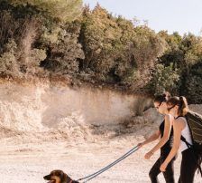 Hanka – Schäferhund Mischling, Weibchen, 3 Jahre, Nordic Strays e.V. – Foto 6