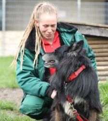 Fukano – Border Collie/Schäferhund-Mix, Männchen, 5 Jahre, 13057 Berlin – Foto 6