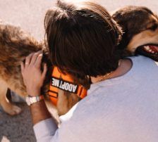 Super Mario – Mischling, Männchen, 3 Monate, Nordic Strays e.V. – Foto 3