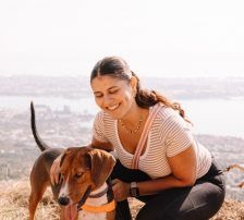 Zigi – Jagdhundmix, Männchen, 2 Jahre 7 Monate, Nordic Strays e.V. – Foto 9