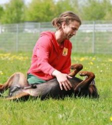 Findus – Rottweiler, Männchen, 6 Jahre, 13057 Berlin – Foto 4