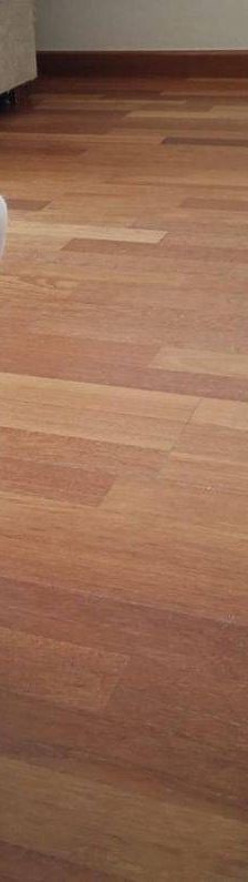 Hardy – Europäisch Kurzhaar, Männchen, 3 Jahre, 65520 Bad Camberg – Foto 13