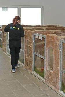 Kleintierhaus – Sonstiges, Unbekannt, Alter unbekannt, 90537 Feucht – Foto 2