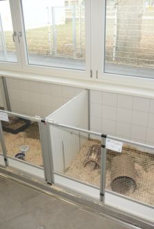 Kleintierhaus – Sonstiges, Unbekannt, Alter unbekannt, 90537 Feucht – Foto 5
