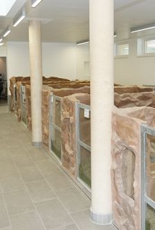 Kleintierhaus – Sonstiges, Unbekannt, Alter unbekannt, 90537 Feucht – Foto 9