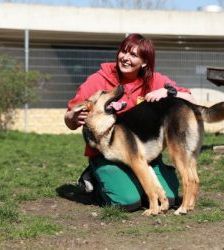 Claire – Schäferhund-Mix, Weibchen, 6 Jahre 10 Monate, 13057 Berlin – Foto 3