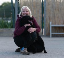 Gogi – Kroatischer Schäferhundmix, Männchen, 2 Monate, Nordic Strays e.V. – Foto 19