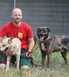 Kamal – Schäferhund-Mix, Männchen, 5 Jahre 2 Monate, 13057 Berlin – Foto 6