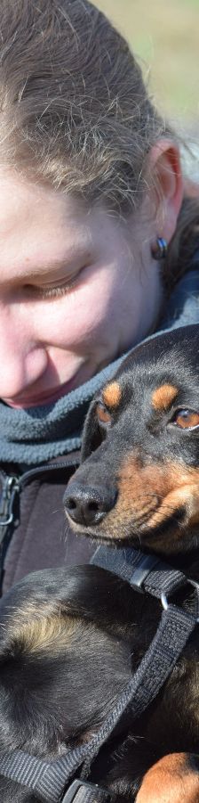 Lina – Mischling, Weibchen, 2 Jahre, Lohmar – Foto 13