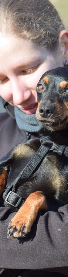 Lina – Mischling, Weibchen, 2 Jahre, Lohmar – Foto 14
