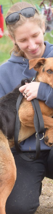 Georgina – Mischling, Weibchen, 2 Jahre, Ungarn – Foto 5