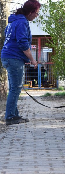 timmy – Mischling, Unbekannt, 6 Jahre, Ungarn – Foto 18