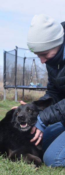 poldi – Mischling, Männchen, 14 Jahre, Ungarn – Foto 6