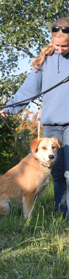 bonbonetti – Mischling, Weibchen, 6 Jahre – Foto 12
