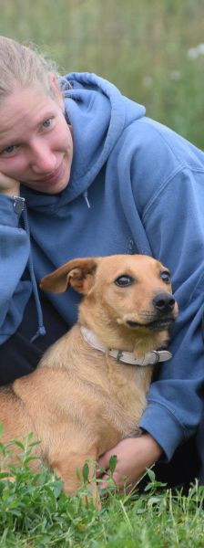 pia – Mischling, Weibchen, 4 Jahre – Foto 9