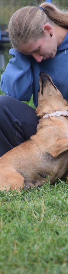 pia – Mischling, Weibchen, 4 Jahre – Foto 10
