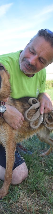 mandy – Mischling, Weibchen, 4 Jahre, Ungarn – Foto 15