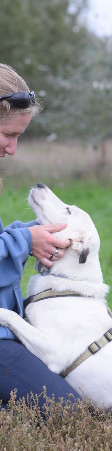 cindy – Mischling, Weibchen, 6 Jahre, Ungarn – Foto 6