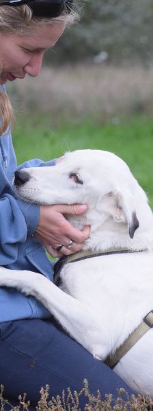 cindy – Mischling, Weibchen, 6 Jahre, Ungarn – Foto 7
