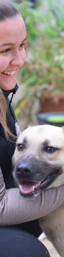 lisa – Mischling, Weibchen, 4 Jahre, Ungarn – Foto 12