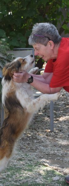 nancy – Mischling, Weibchen, 1 Jahr, Ungarn – Foto 9