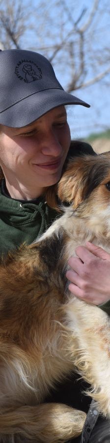 nancy – Mischling, Weibchen, 1 Jahr, Ungarn – Foto 18