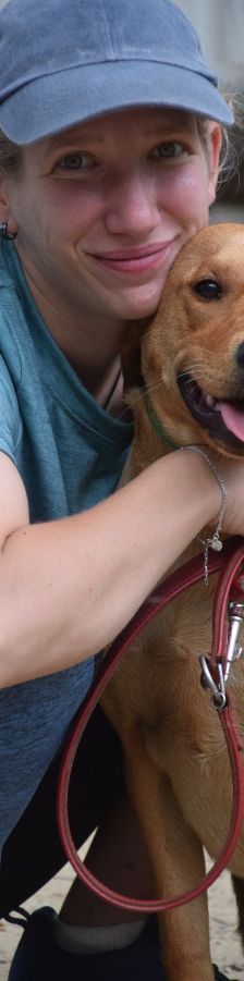 mango – Mischling, Männchen, 1 Jahr, Ungarn – Foto 8