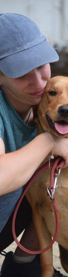 mango – Mischling, Männchen, 1 Jahr, Ungarn – Foto 9