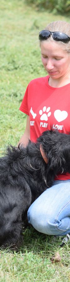 elmo – Mischling, Männchen, 10 Jahre, Ungarn – Foto 27