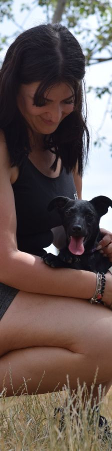 felina – Hund, Weibchen, 4 Monate, Ungarn – Foto 9
