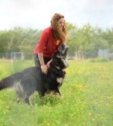 Gero – Deutscher Schäferhund, Männchen, 2 Jahre 7 Monate, 13057 Berlin – Foto 6